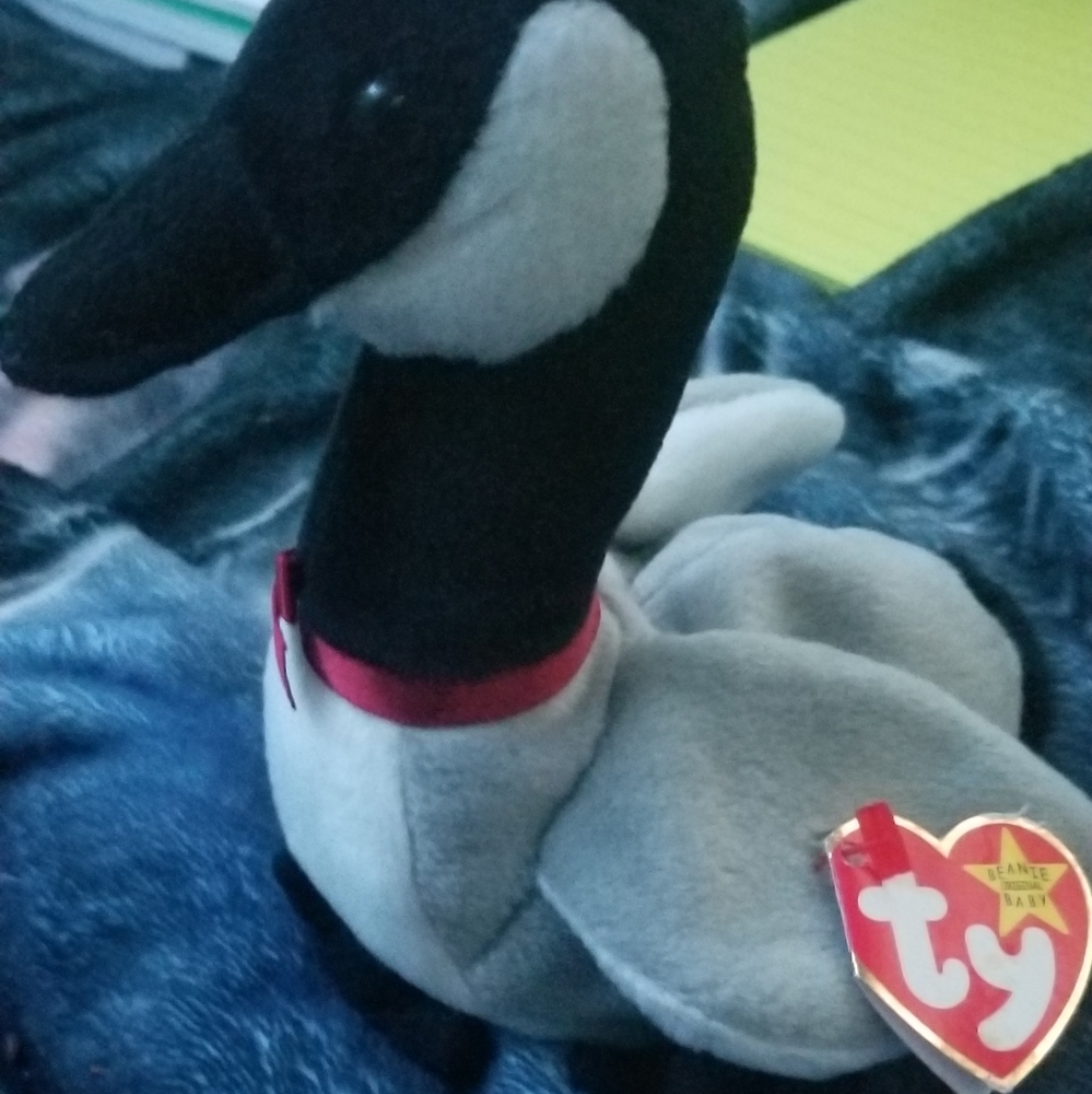Loosy beanie baby